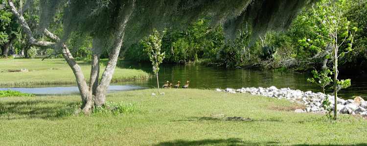 Best Camping In And Near Fairview Riverside State Park