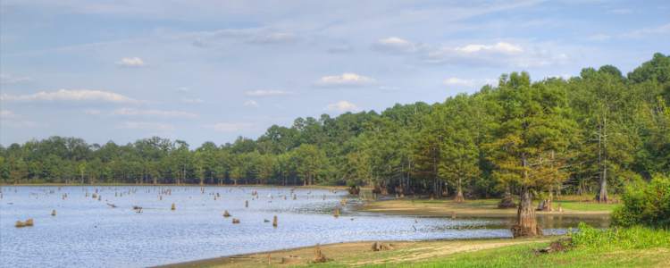 Best Camping In And Near Ouachita Black River Jonesville Pool