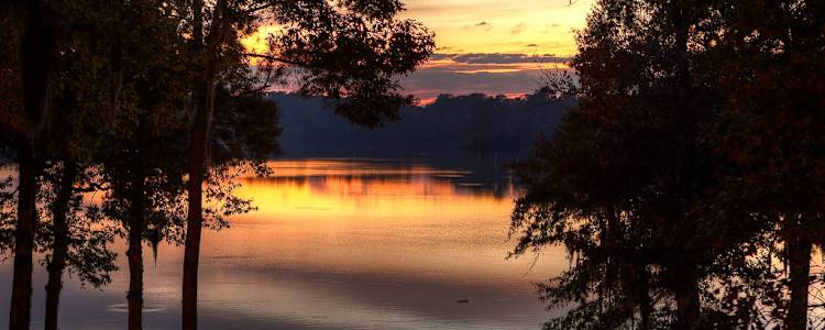 Best Camping In And Near Percy Quin State Park