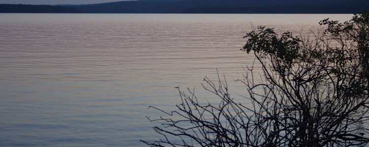 Best Camping In And Near Greers Ferry Lake