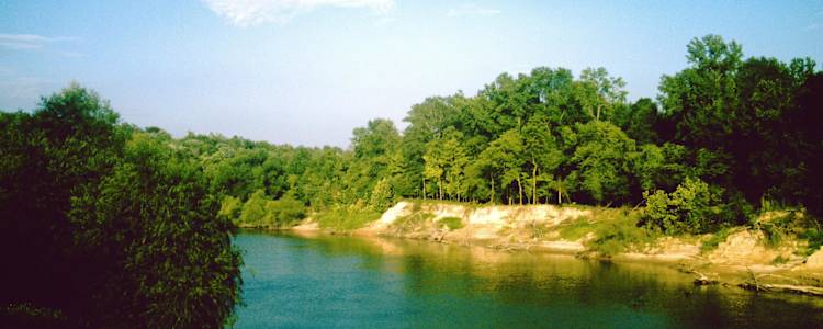 Best Camping In And Near Ouachita Lake
