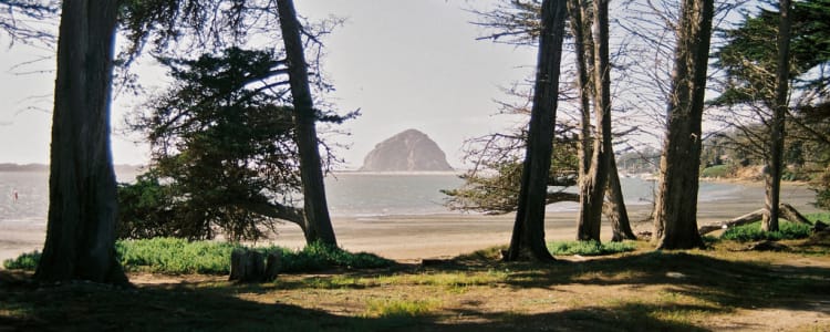 Best Camping in and Near Morro Bay State Park