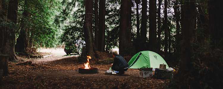 Salmon Creek Ranch Camping