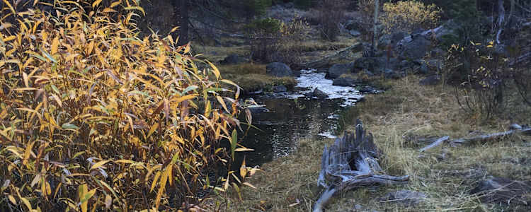 Best Camping In And Near Fremont Winema National Forest