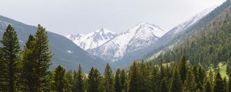 Best Camping In And Near Beaverhead Deerlodge National Forest