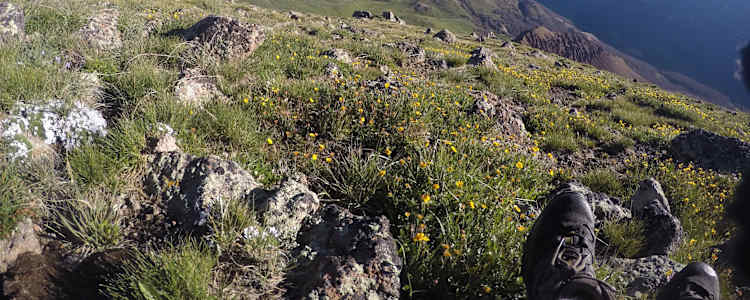 Best Camping In And Near Grand Mesa National Forest
