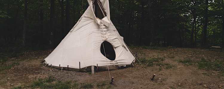 Magic Forest Farm Camping