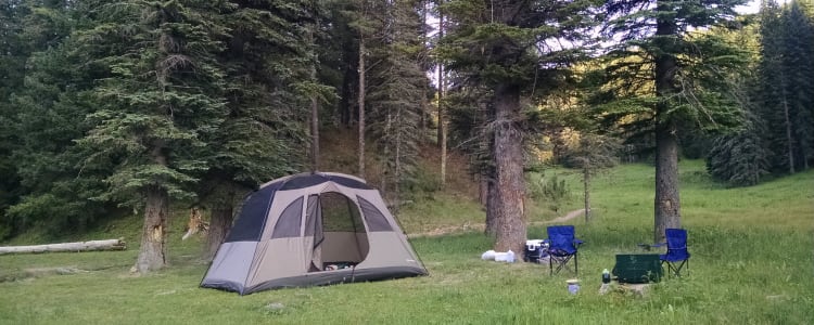 16+ Forest Camping Park