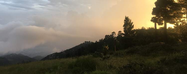 Best Camping In And Near Coronado National Forest