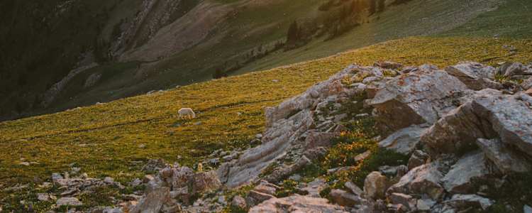 Best Camping In And Near Custer Gallatin National Forest