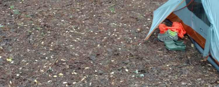 Best Camping In And Near Uwharrie National Forest