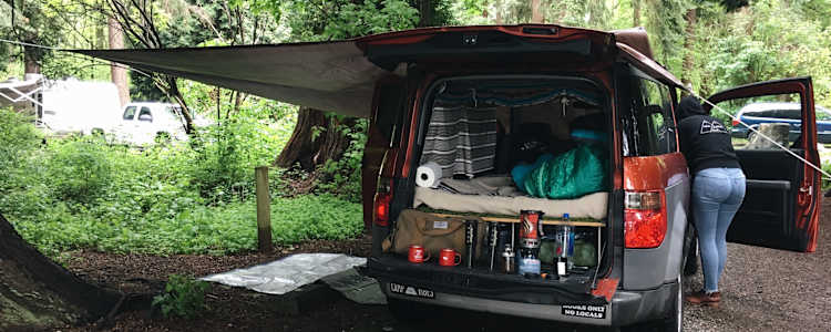 Best Camping In And Near Birch Bay State Park