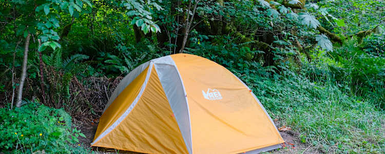 Tadpole Manor In Deadwood Camping