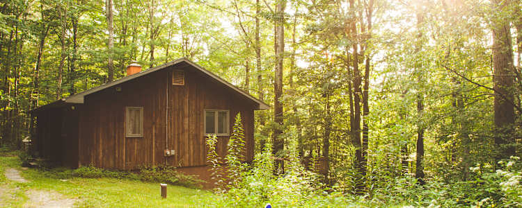 Whitman Woods In The Berkshires Camping