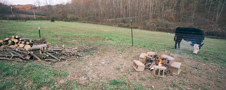 Running Crazy Farm Camping