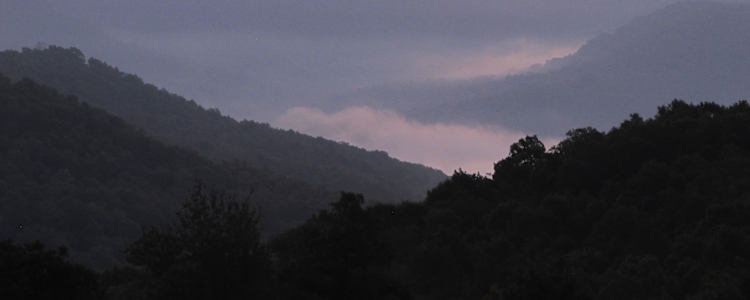 Lost Valley View Cabin Camping