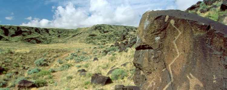 Best Camping In And Near Petroglyph National Monument