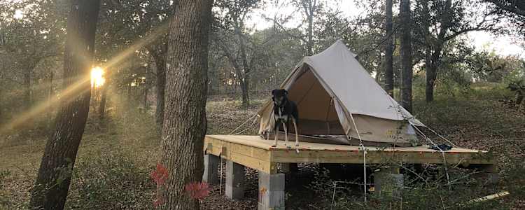 The Burrow Camping