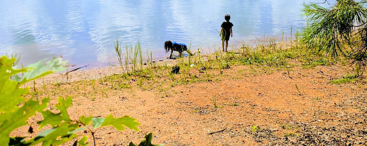 Best Camping In And Near Lake Hartwell State Park