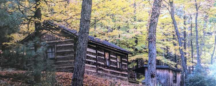 Lost River Forest Camping