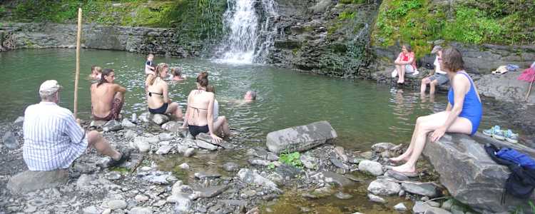 Forest Farm Campsites Camping