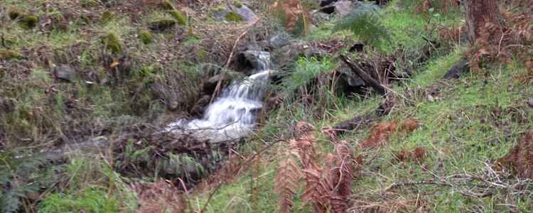 At One With Nature Camping