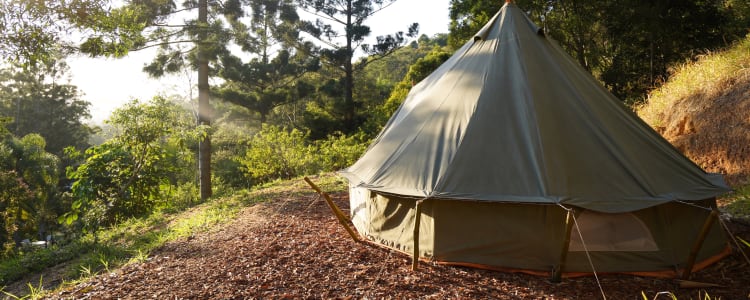 12+ Forest Camping Qld