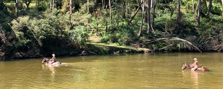 Shady Acres Colo River Camping