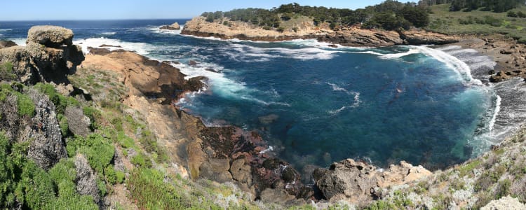 Best Camping in and Near Point Lobos State Natural Reserve
