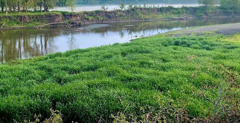 The 30 Best Campgrounds Near Wall Lake Iowa