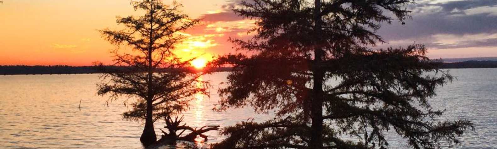 Martin Dies, Jr. State Park