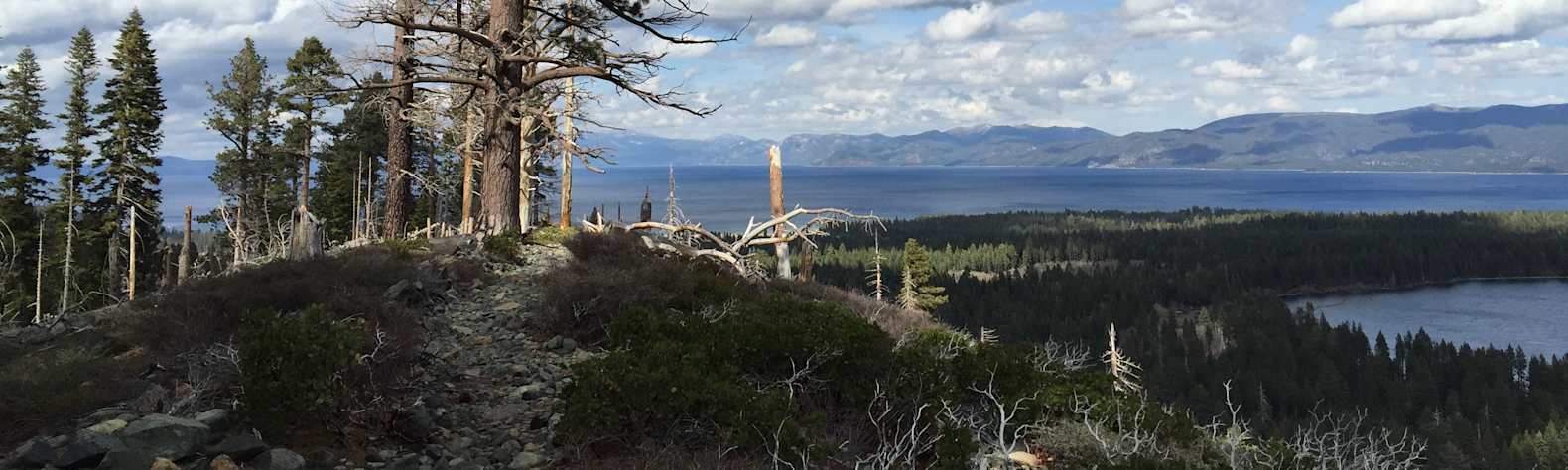 Tahoe National Forest