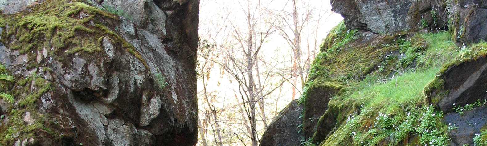 Auburn State Recreation Area