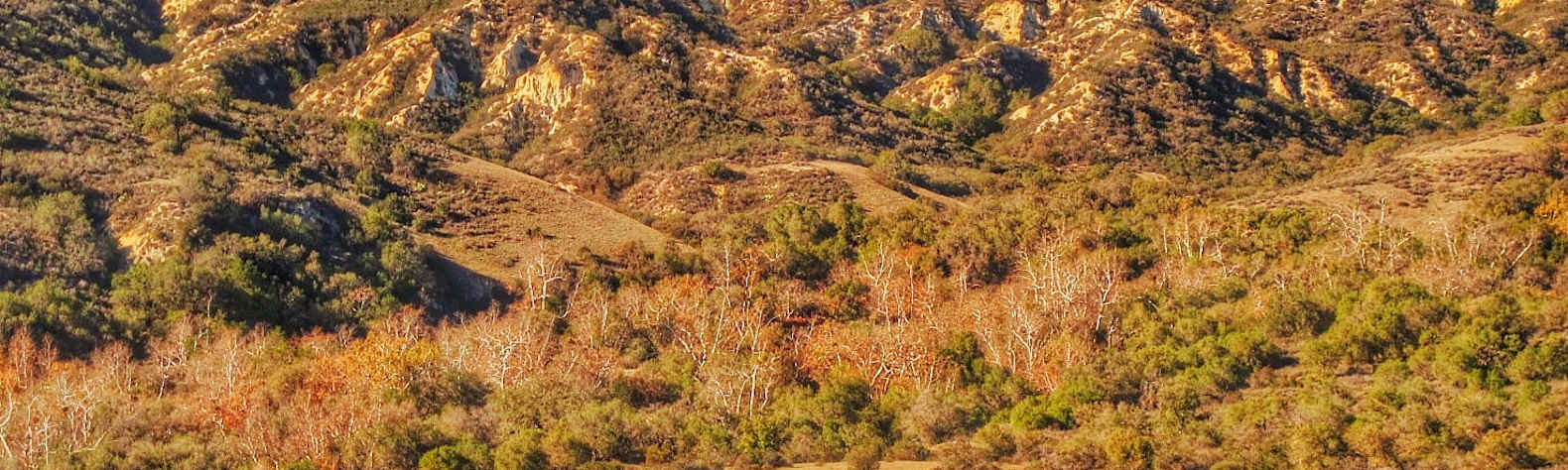 Caspers Wilderness Park