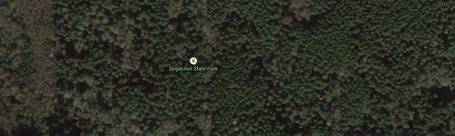 Bogachiel State Park
