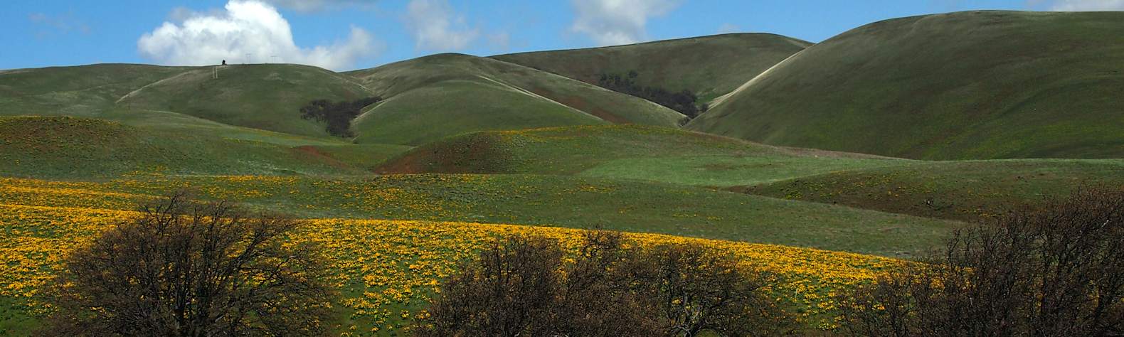 Columbia Hills State Park