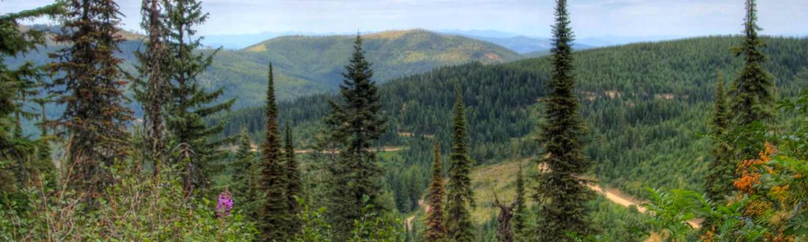 Mount Spokane State Park