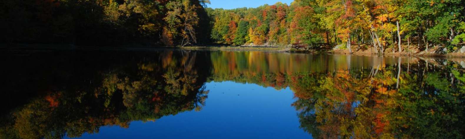 Jenny Jump State Forest