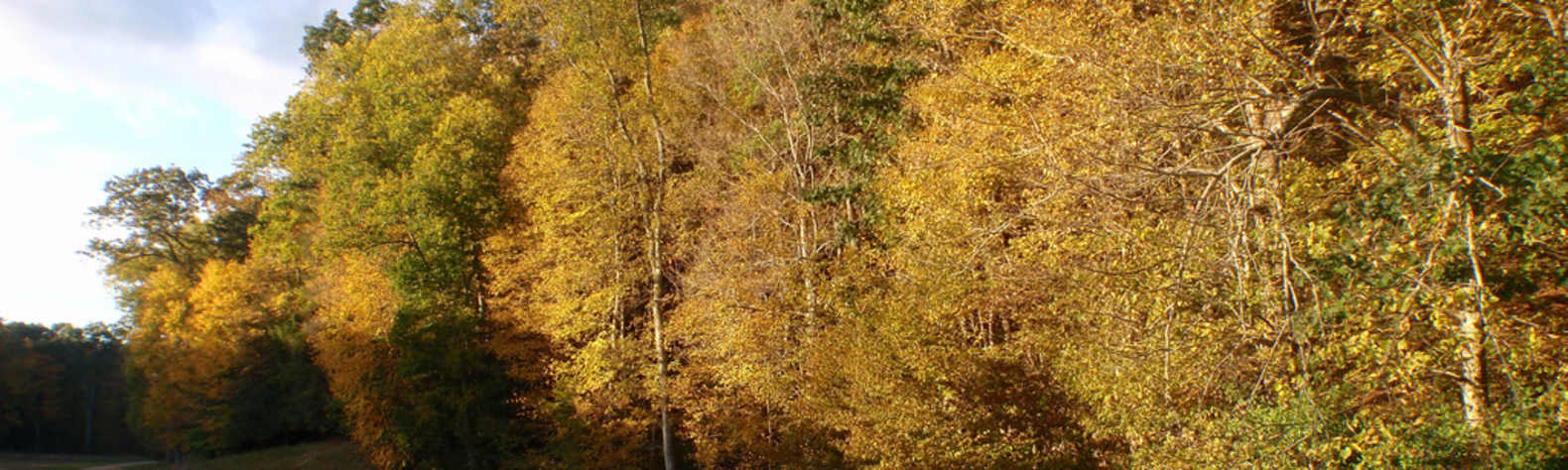Hurd State Park