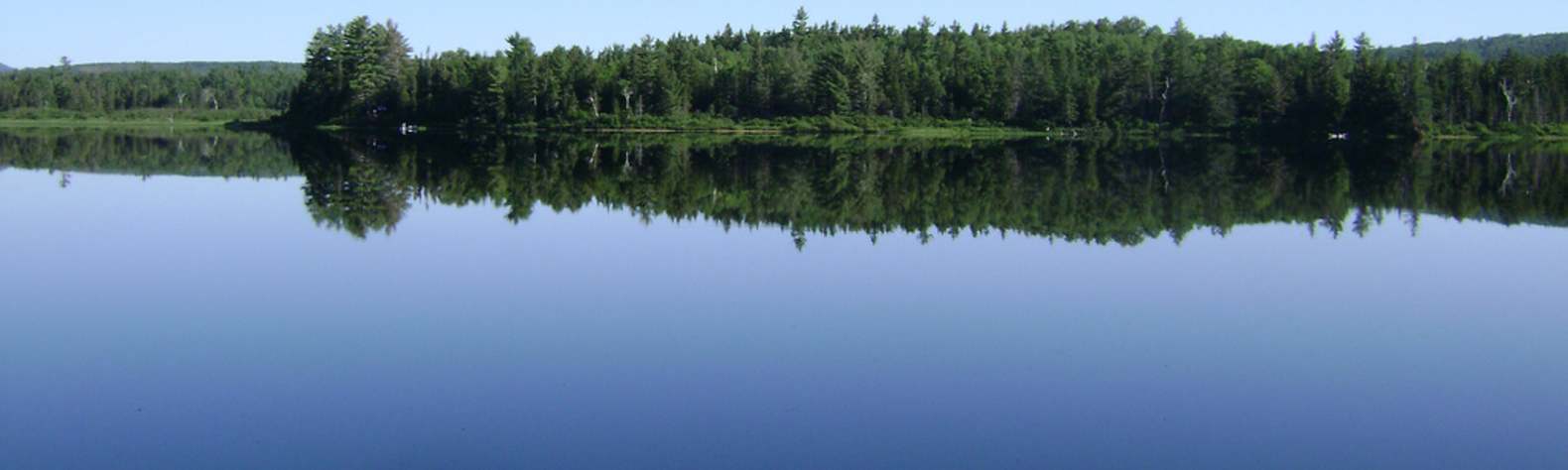 Chain of Ponds Public Reserved Land