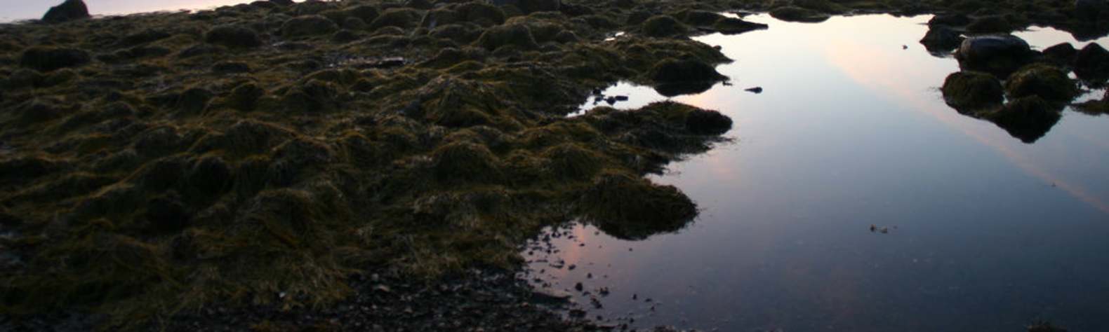 Warren Island State Park