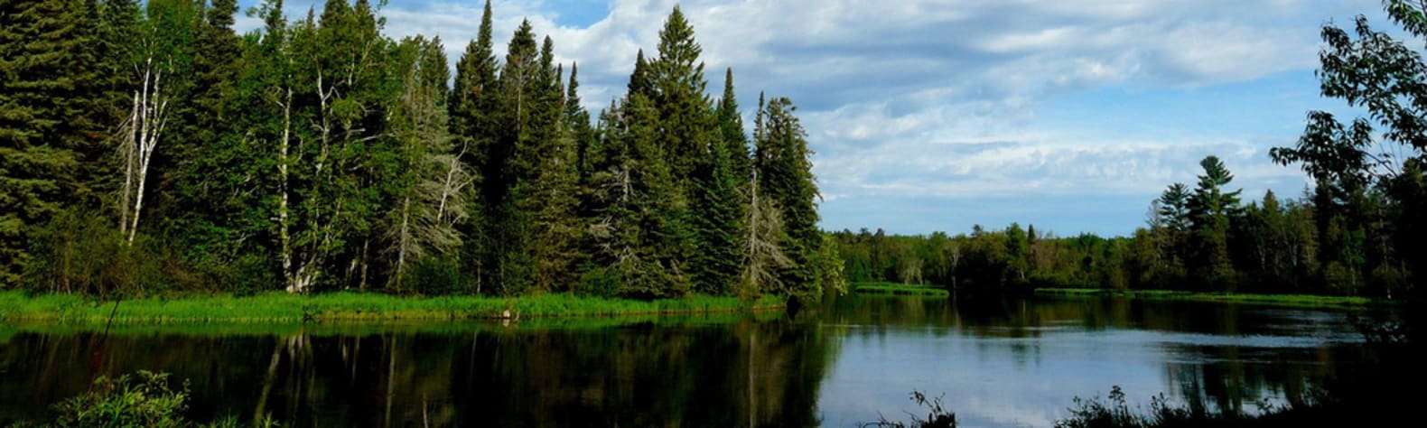 Huron-Manistee National Forests