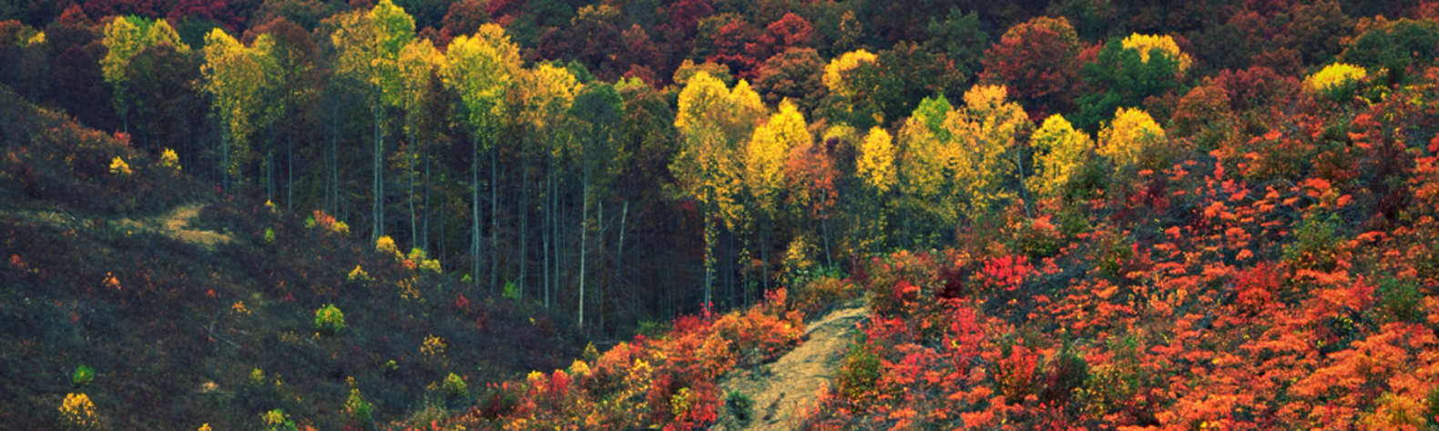 Shawnee State Park OH