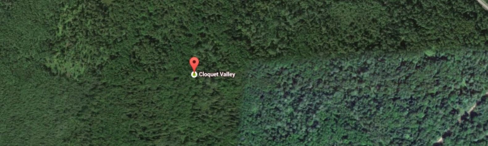 Cloquet Valley State Forest