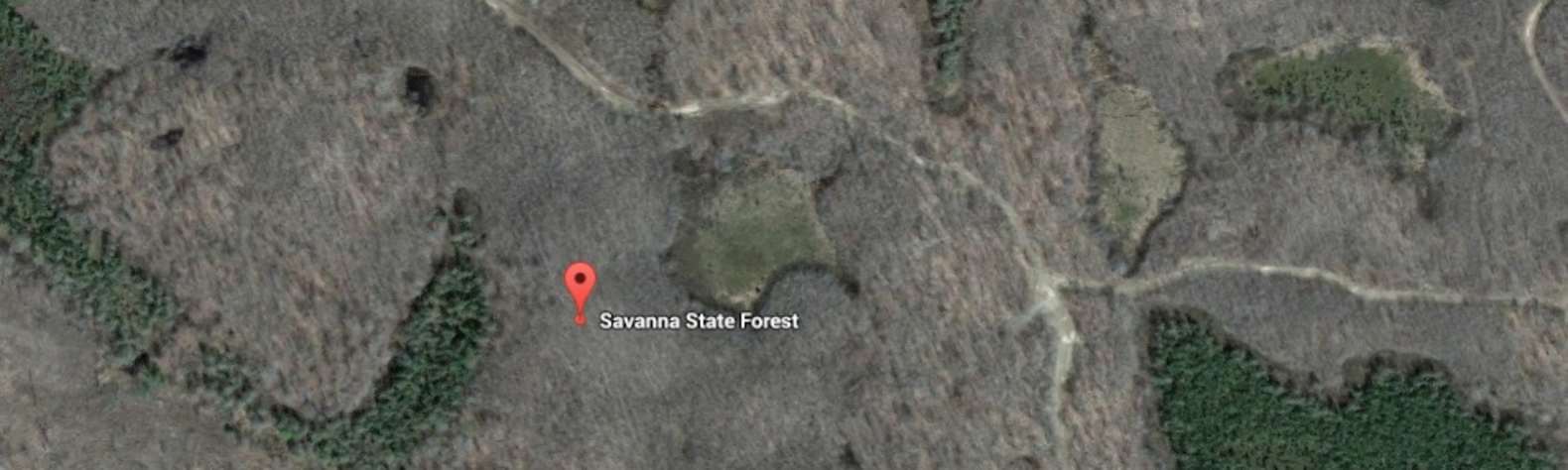 Savanna State Forest