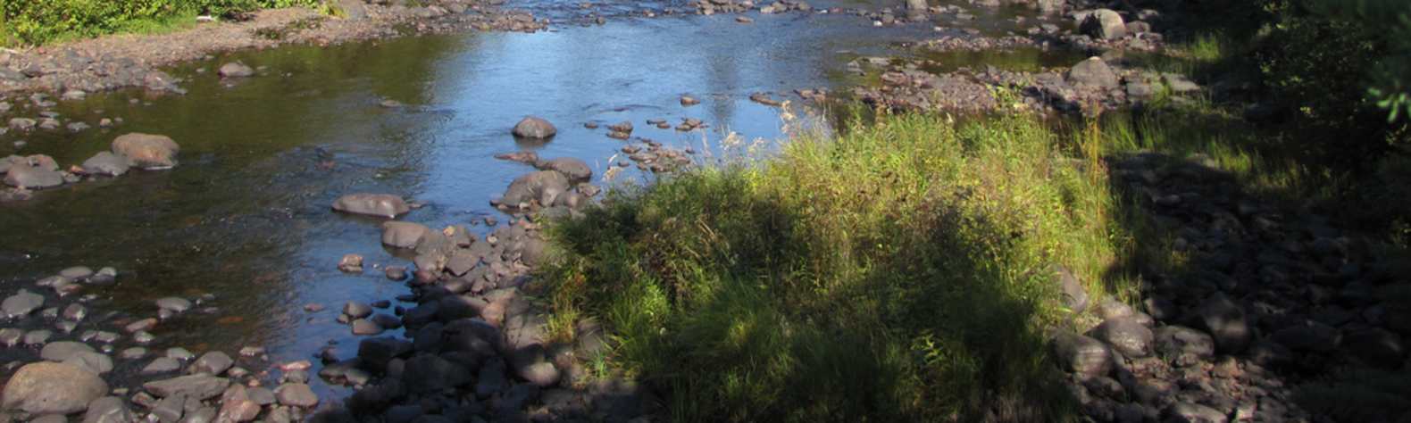 Superior National Forest