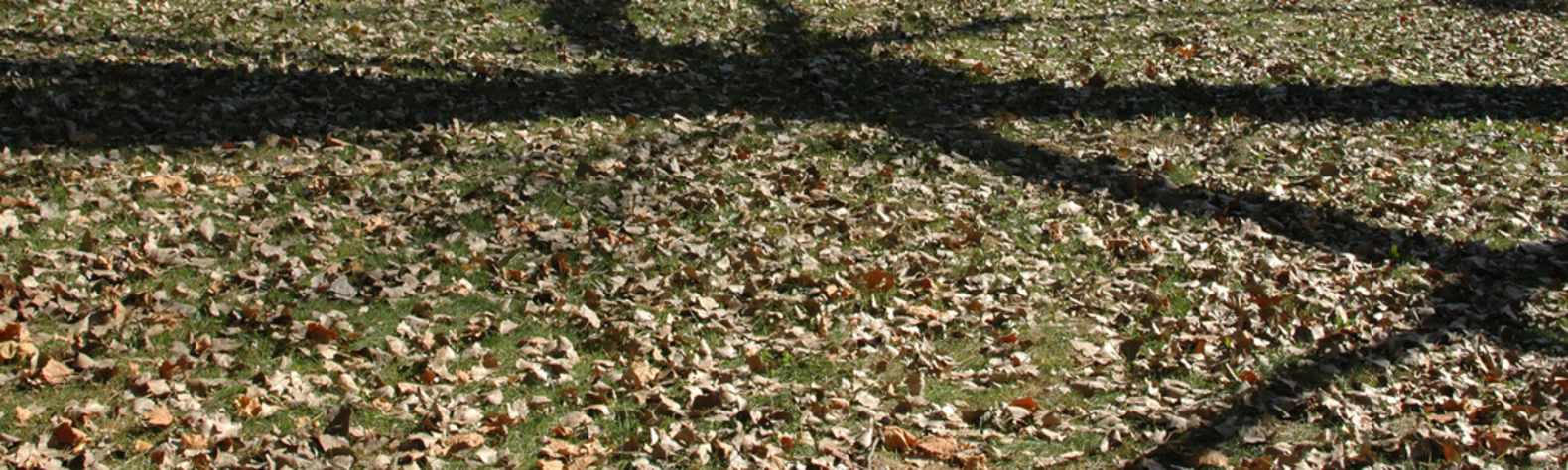 Lake Macbride State Park