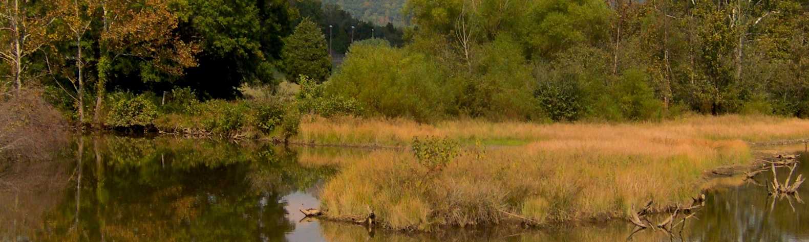 Cumberland Mountain State Park