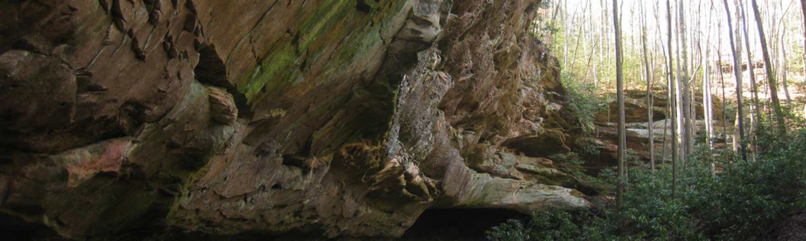 Pickett State Park