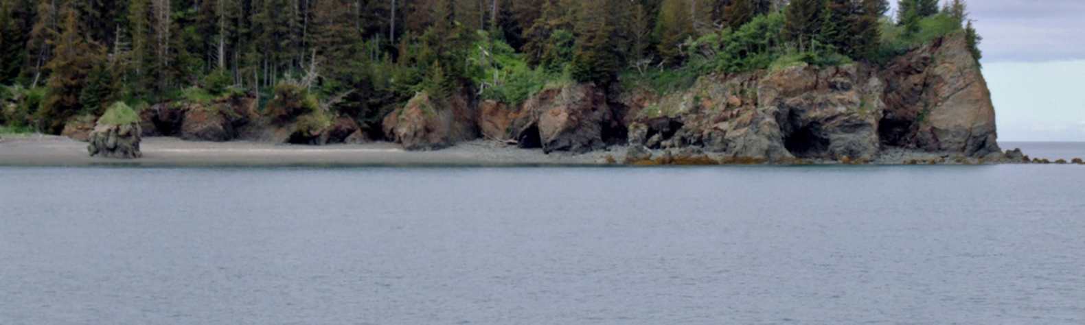Kachemak Bay State Park and State Wilderness Park